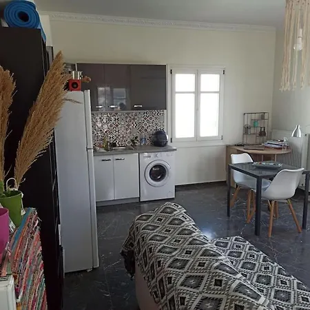 εξαιρετικό διαμέρισμα δίπλα στο λιμανι! καινουριο 公寓 Naxos City
